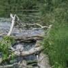 Biological wave break in place in spring and vegetation growing in behind and around wave break.