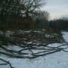 Hardwood logs anchored along shoreline as biological wave break. Tree crowns/ branches placed on top into water for habitat. All logs placed on ice in winter and allowed to sink in spring.